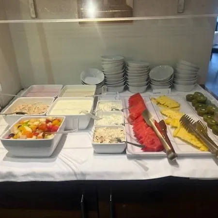 弗莱堡希维拉酒店 4*