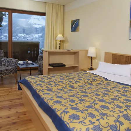 弗莱堡希维拉酒店 酒店 滨湖采尔