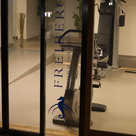 弗莱堡希维拉酒店 酒店