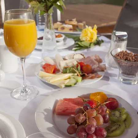 弗莱堡希维拉酒店 酒店