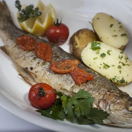 弗莱堡希维拉酒店 4*