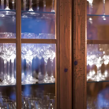 弗莱堡希维拉酒店 酒店