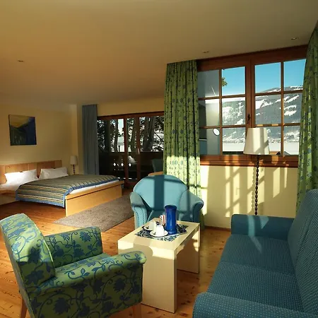 弗莱堡希维拉酒店 4* 滨湖采尔