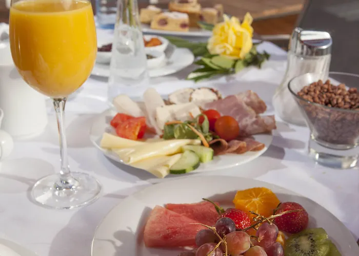 弗莱堡希维拉酒店 酒店