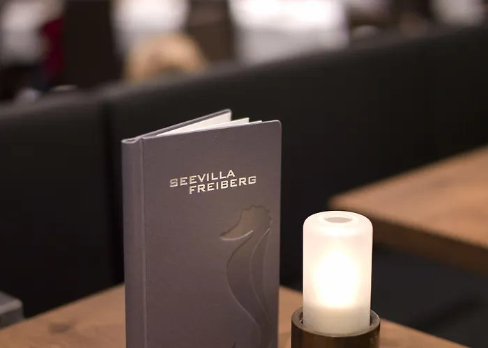 Seevilla Freiberg Hotell
