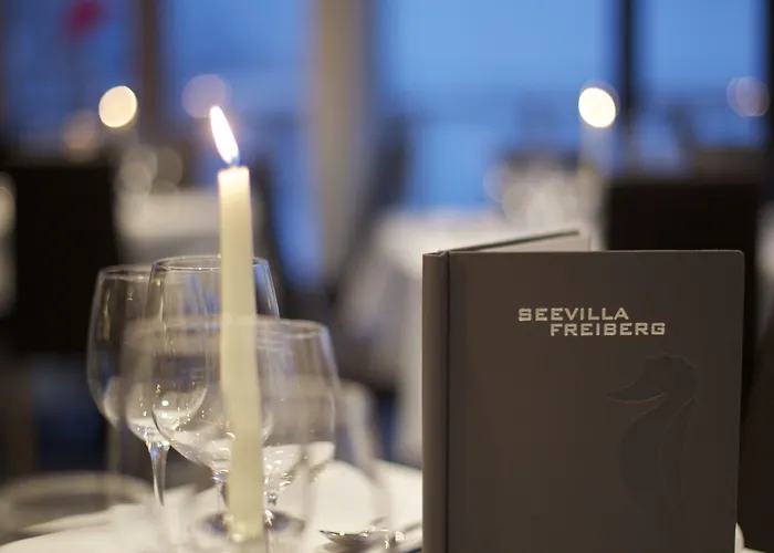Seevilla Freiberg Hotell