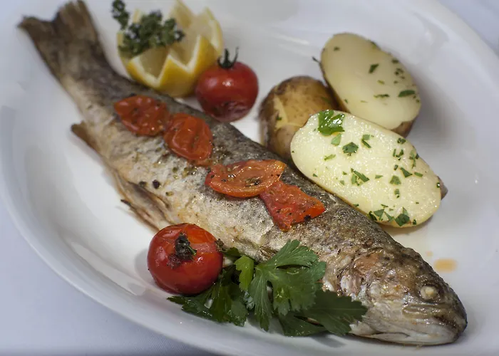 弗莱堡希维拉酒店 4*