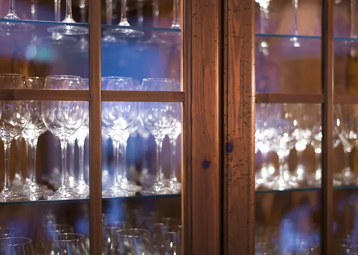 弗莱堡希维拉酒店 酒店