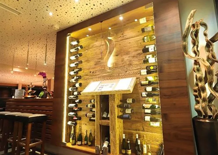 弗莱堡希维拉酒店 酒店