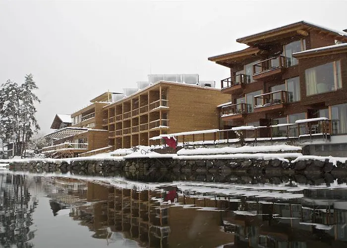 弗莱堡希维拉酒店 酒店