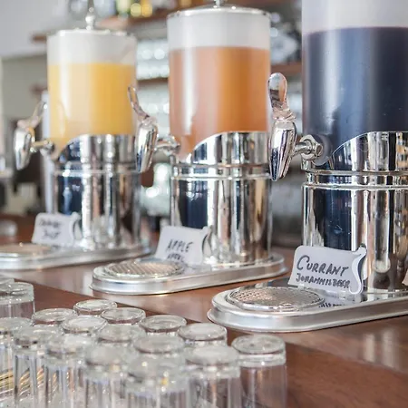 سيفيلا فرايبرغ