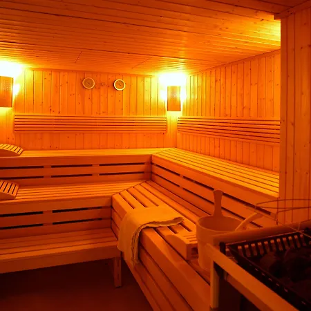 سيفيلا فرايبرغ