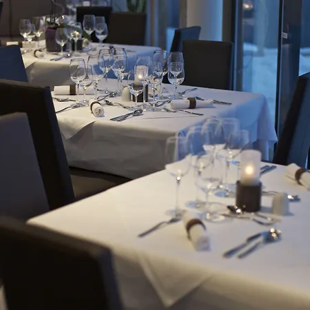 سيفيلا فرايبرغ