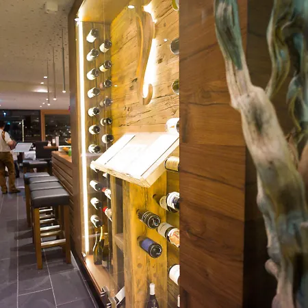 فندق سيفيلا فرايبرغ 4*