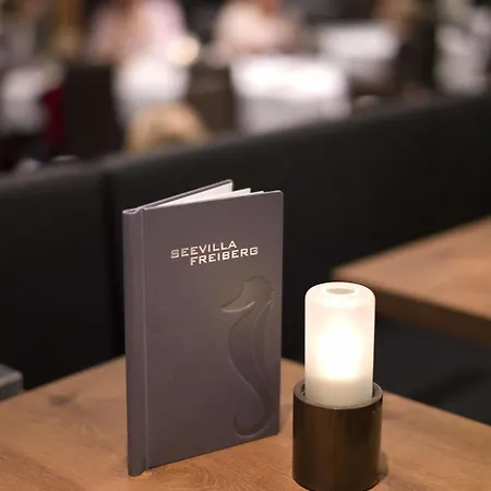 Hotel Seevilla Freiberg 4*