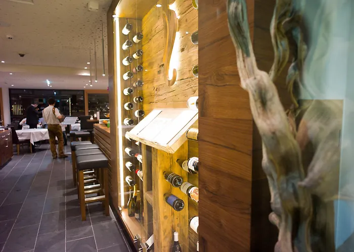 酒店 弗莱堡希维拉酒店 4*